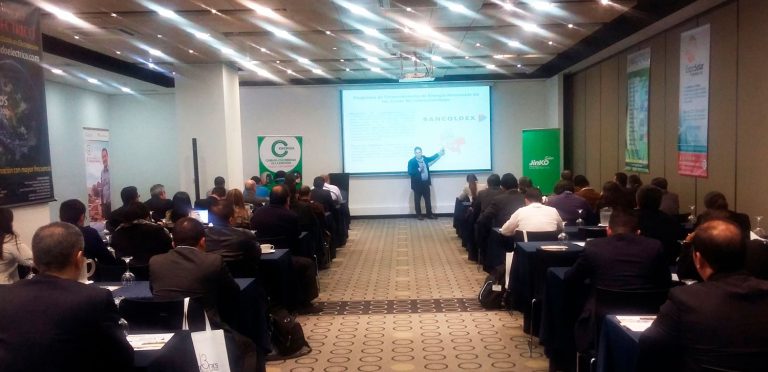 I Seminario de Eficiencia y Energías Renovables Para Directivos De Empresas