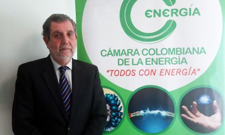 Carlos Alberto Zarruk Gómez nuevo presidente ejecutivo de la Cámara Colombiana de la Energía