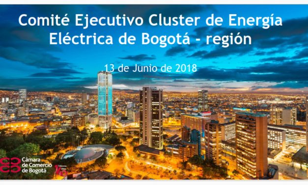 Acuerdos y conclusiones Comité Ejecutivo Cluster Energía Eléctrica de Bogotá-región