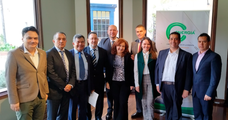 Elección Junta Directiva CCEnergía 2024 – 2025