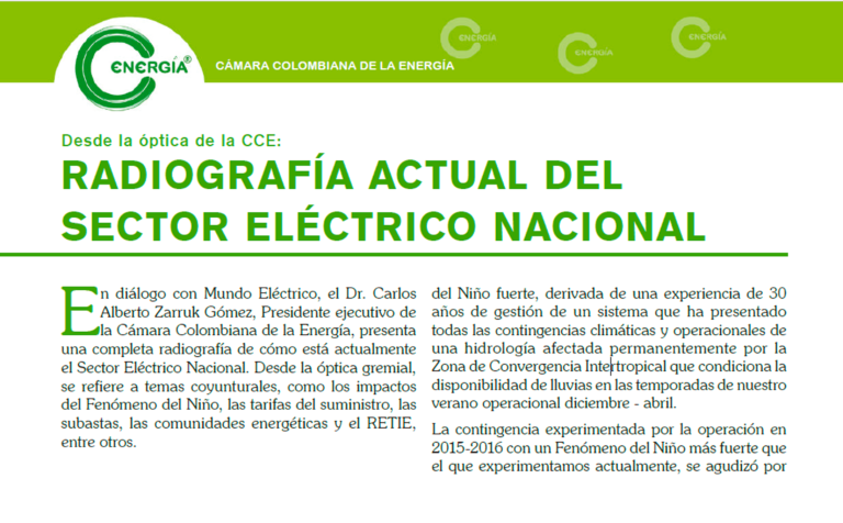 Radiografía actual del sector eléctrico nacional